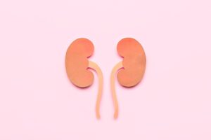 paper kidneys on pink background