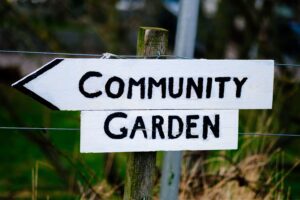 community garden sign placed in garden